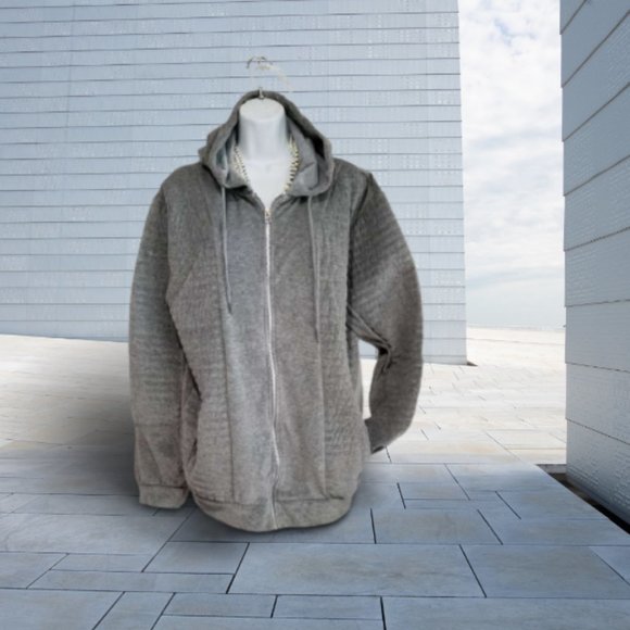 NWOT velvet light grey sweatshirt  with hood - Picture 1 of 6